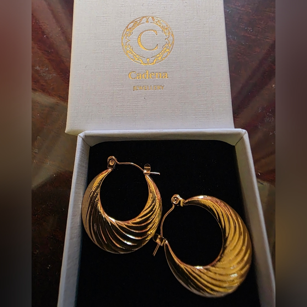 Brand New In Box Gold Plated Hoop Earrings